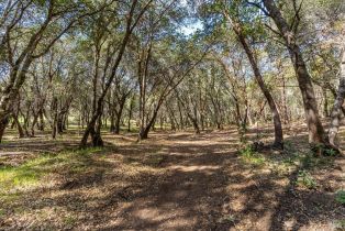 Residential Acreage,  Franz Valley School road, Calistoga, CA 94515 - 7