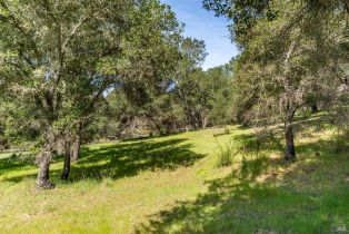 Residential Acreage,  Franz Valley School road, Calistoga, CA 94515 - 11