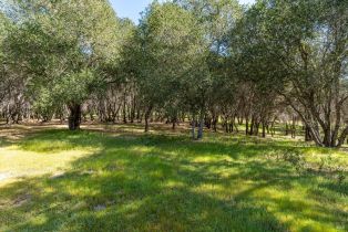 Residential Acreage,  Franz Valley School road, Calistoga, CA 94515 - 19