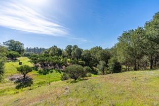 Residential Acreage,  Franz Valley School road, Calistoga, CA 94515 - 21