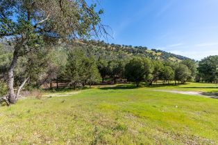 Residential Acreage,  Franz Valley School road, Calistoga, CA 94515 - 23