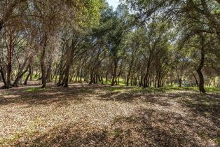 Residential Acreage,  Franz Valley School road, Calistoga, CA 94515 - 16