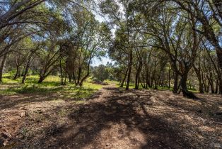 Residential Acreage,  Franz Valley School road, Calistoga, CA 94515 - 17