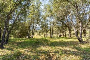 Residential Acreage,  Franz Valley School road, Calistoga, CA 94515 - 24