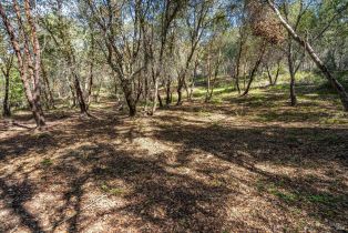 Residential Acreage,  Franz Valley School road, Calistoga, CA 94515 - 8