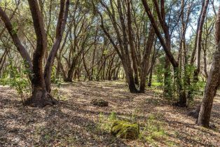 Residential Acreage,  Franz Valley School road, Calistoga, CA 94515 - 6