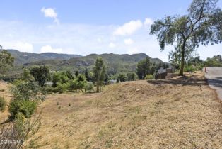 , 29704 Triunfo dr, Agoura Hills, CA 91301 - 8