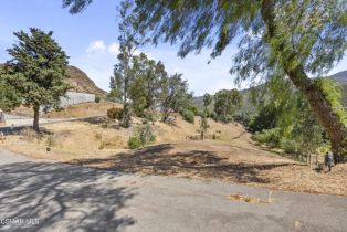 , 29704 Triunfo dr, Agoura Hills, CA 91301 - 2