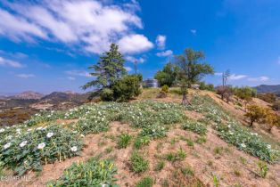 Single Family Residence, 102 Carlisle rd, Thousand Oaks, CA 91362 - 15