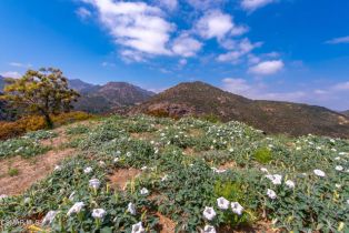 Single Family Residence, 102 Carlisle rd, Thousand Oaks, CA 91362 - 23