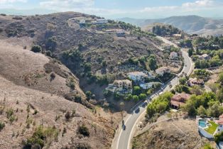, 318 Bell Canyon rd, Bell Canyon, CA 91307 - 10