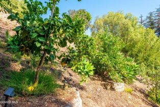 Single Family Residence, 12951 Sunny ln, Camarillo, CA 93012 - 54