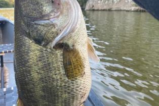 , 2239 Pinecrest rd, Agoura Hills, CA 91301 - 14