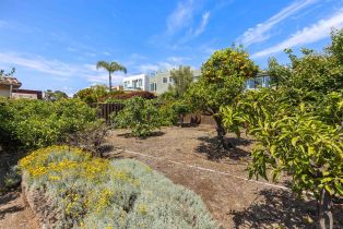 , 13645 Pine Needles dr, Del Mar, CA 92014 - 39