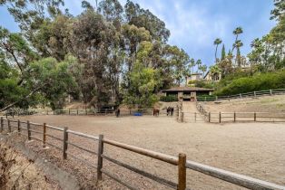 , 17116 Paseo Hermosa, Rancho Santa Fe, CA 92067 - 49