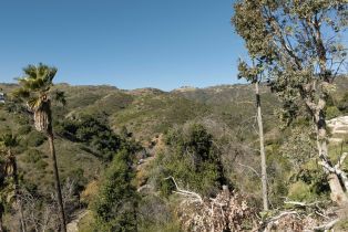 , 4025 Latigo Canyon rd, Malibu, CA 90265 - 18