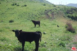 , 1 Canada Larga rd, Ventura, CA 93001 - 46