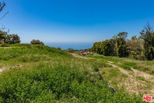 , 30601 Morning View dr, Malibu, CA 90265 - 23