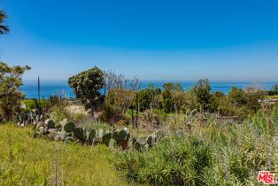 , 30601 Morning View dr, Malibu, CA 90265 - 38