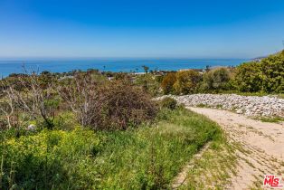 , 30601 Morning View dr, Malibu, CA 90265 - 22