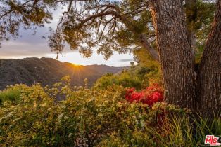 Single Family Residence, 16798 Charmel ln, Pacific Palisades, CA 90272 - 29