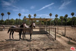 Single Family Residence, 5565 Balcom Canyon rd, Somis, CA 93066 - 62