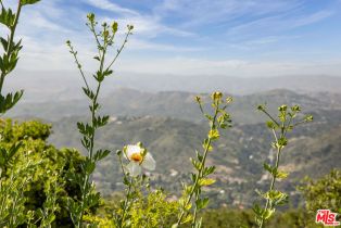 Single Family Residence, 475 Stunt rd, Calabasas, CA 91302 - 70