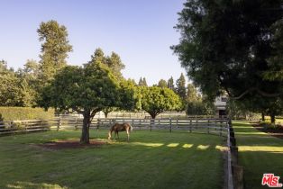 Single Family Residence, 16401 Calle Feliz, Rancho Santa Fe, CA 92067 - 27