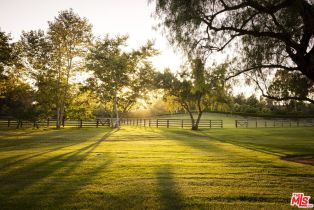 Single Family Residence, 16401 Calle Feliz, Rancho Santa Fe, CA 92067 - 26