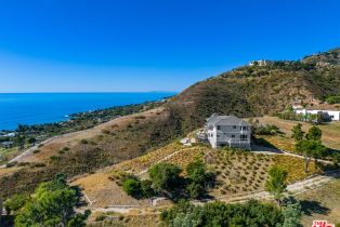 Single Family Residence, 6007 Trancas Canyon rd, Malibu, CA 90265 - 4