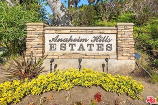 Single Family Residence, 6808 Georgetown cir, Anaheim Hills, CA 92807 - 52