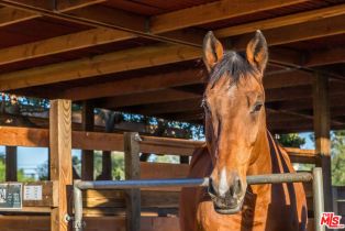 Single Family Residence, 27349 Pacific Coast hwy, Malibu, CA 90265 - 48