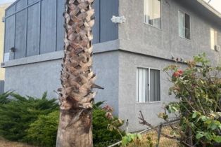 Residential Income, 1030 Olive ave, Long Beach, CA 90813 - 2