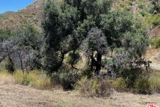 Land, 1 Newton Canyon Rd, Malibu, CA  Malibu, CA 90265