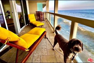 Condominium, 25234 Malibu rd, Malibu, CA 90265 - 23