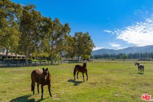 Single Family Residence, 959 Highway 246, Solvang, CA 93463 - 47