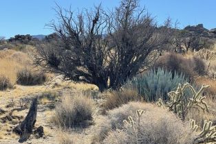 , 0 Star Shadow, Mountain Center, CA 92561 - 24