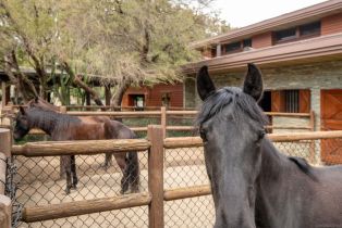 Single Family Residence, 4840 El Secreto, Rancho Santa Fe, CA 92067 - 42