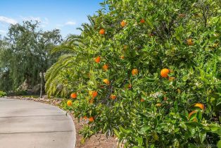 Single Family Residence, 16801 Chaparral way, Poway, CA 92064 - 54