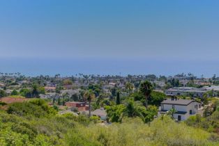 Single Family Residence, 1347 Caminito Arriata, La Jolla, CA 92037 - 25