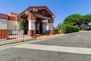 Single Family Residence, 1347 Caminito Arriata, La Jolla, CA 92037 - 26