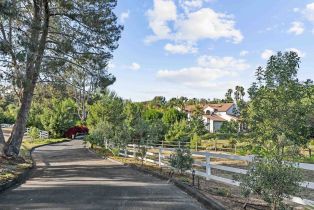 Single Family Residence, 3350 Bumann rd, Encinitas, CA 92024 - 41