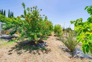 Single Family Residence, 3330 Brooke Hollow rd, Fallbrook, CA 92028 - 69