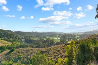 Single Family Residence, 14540 Caminito Saragossa, Rancho Santa Fe, CA 92067 - 17