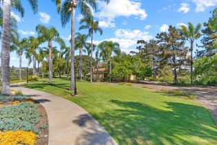 Single Family Residence, 14540 Caminito Saragossa, Rancho Santa Fe, CA 92067 - 33