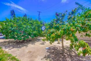 Single Family Residence, 214 Deddie ter, Fallbrook, CA 92028 - 33