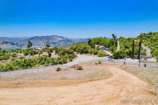 , 3916 Citrus dr, Fallbrook, CA 92028 - 39