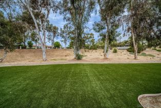 , 459 Flores De Oro, Rancho Santa Fe, CA 92067 - 41