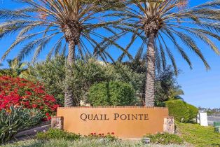 Single Family Residence, 527 Quail Pointe ln, Encinitas, CA 92024 - 32