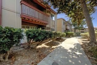 Condominium, 5513 Adobe Falls rd, San Diego, CA 92120 - 6